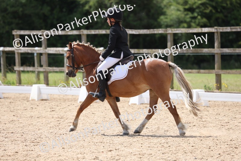 20250614-0611 - Class 5 - Novice 3