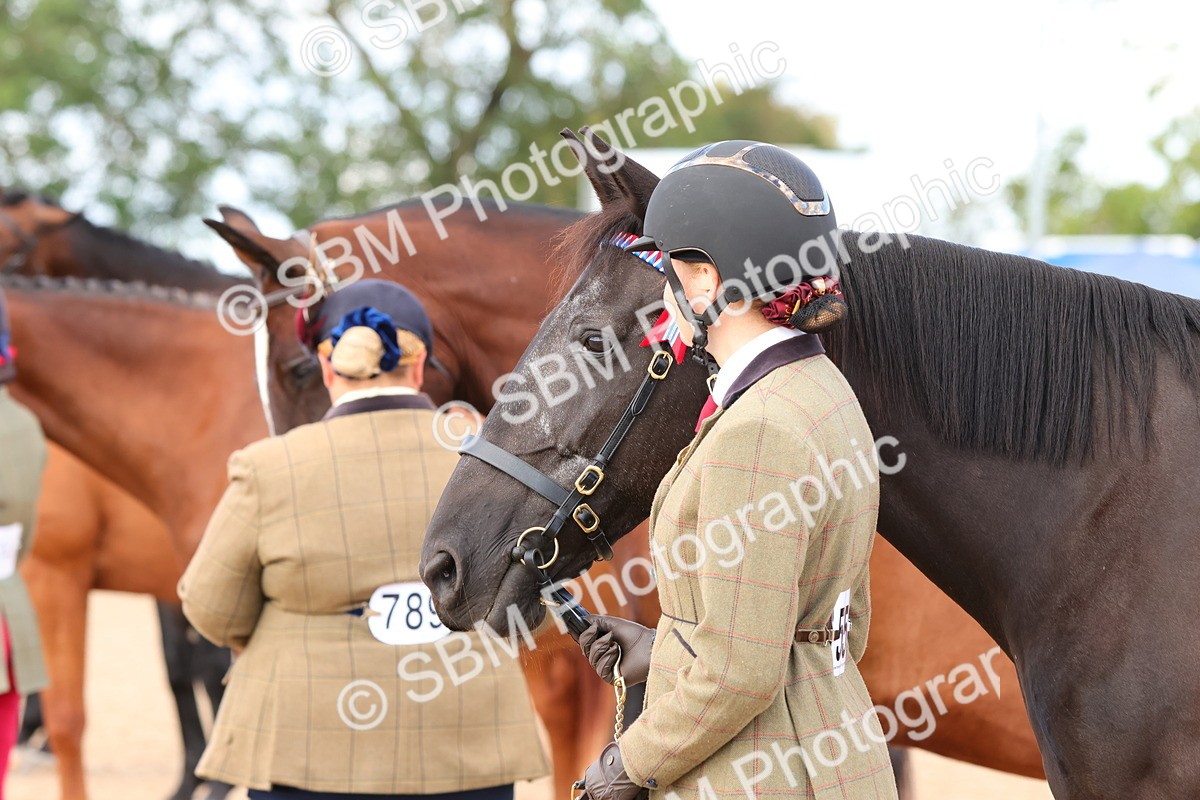 SBM_11749 - Class 208 - IH Veteran Horse