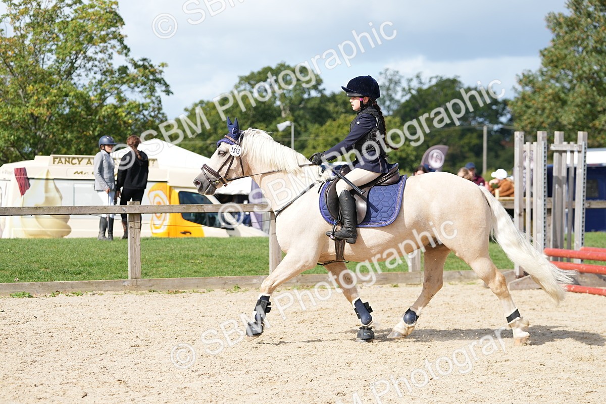 SBM_18149 - J58 - Clear Round 50cm