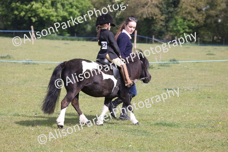 20260426-0590 - Class 31 - Leading Rein
