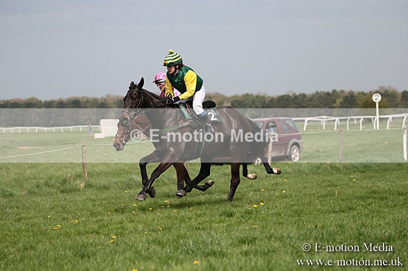 PtP 210418 34 - South & West Wilts Point-to-Point Larkhill 21/04/18
