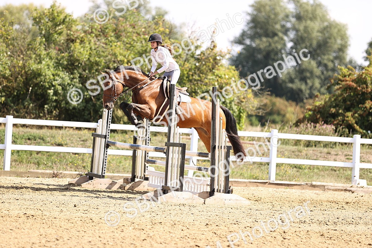 SBM_005893 - Class 9 - Senior British Novice - 90cm