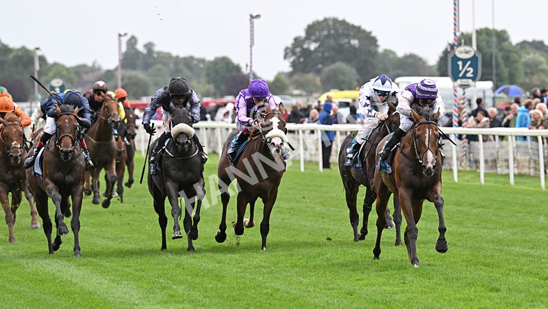 200826-155 Mia Fantasia - Race 6 16.45pm Mews Hotel Ossett EBF Stallions Nursery Handicap