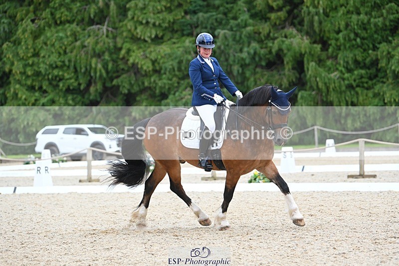 230813-142144-07740 - Cls 13 Medium Bronze 13.15 to End