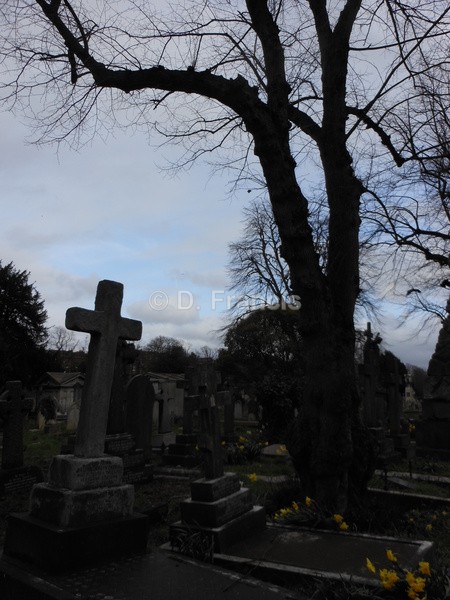 Image 2 - Brompton Cemetery