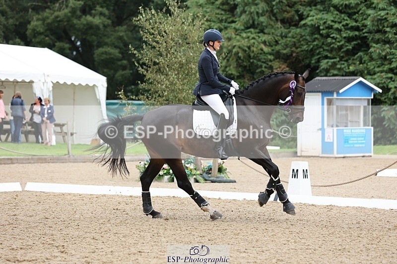 240810-170518-04543 - Elementary Silver