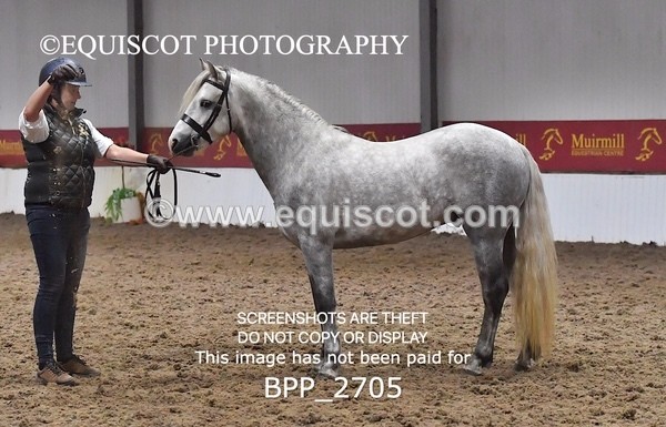 BPP_2705 - LOOSE JUMPING / SPSS