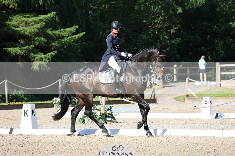 230526-092959-05083 - 355-JASON_KING-Izzy_Taylor-WEDTrotUp+DR