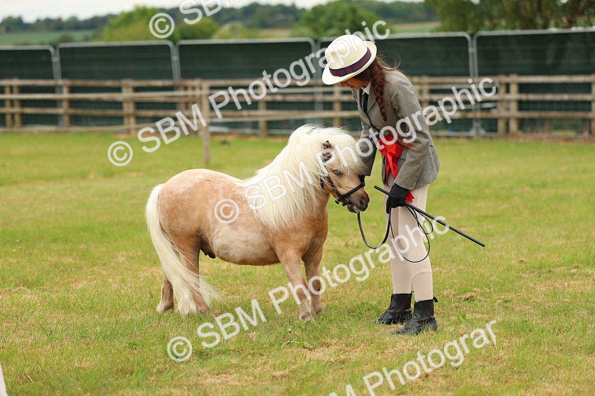 SBM_03517 - Class 58-67 - M&M Non Welsh Pony In hand