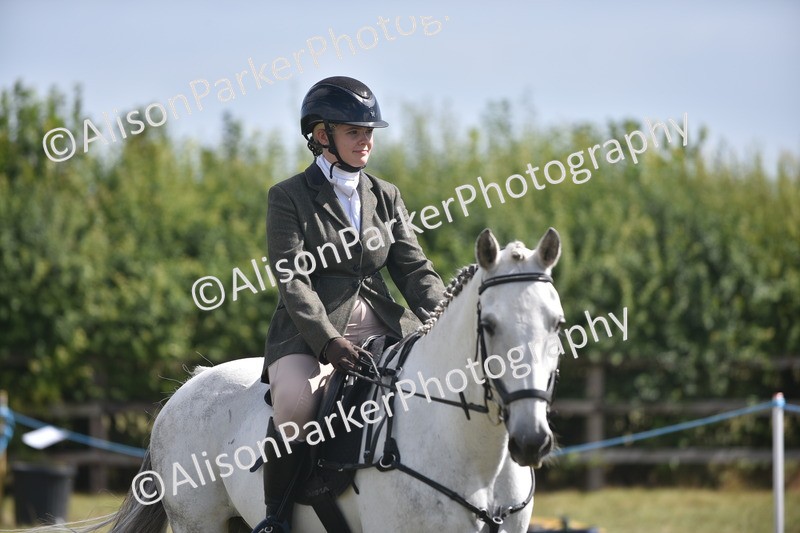 20260906-2687 - Class 13 - Working Hunter Horse or Pony