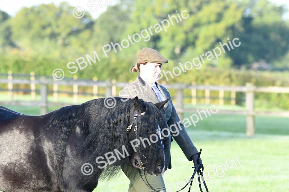 SBM_32474 - S15 - Condition & Turnout In Hand