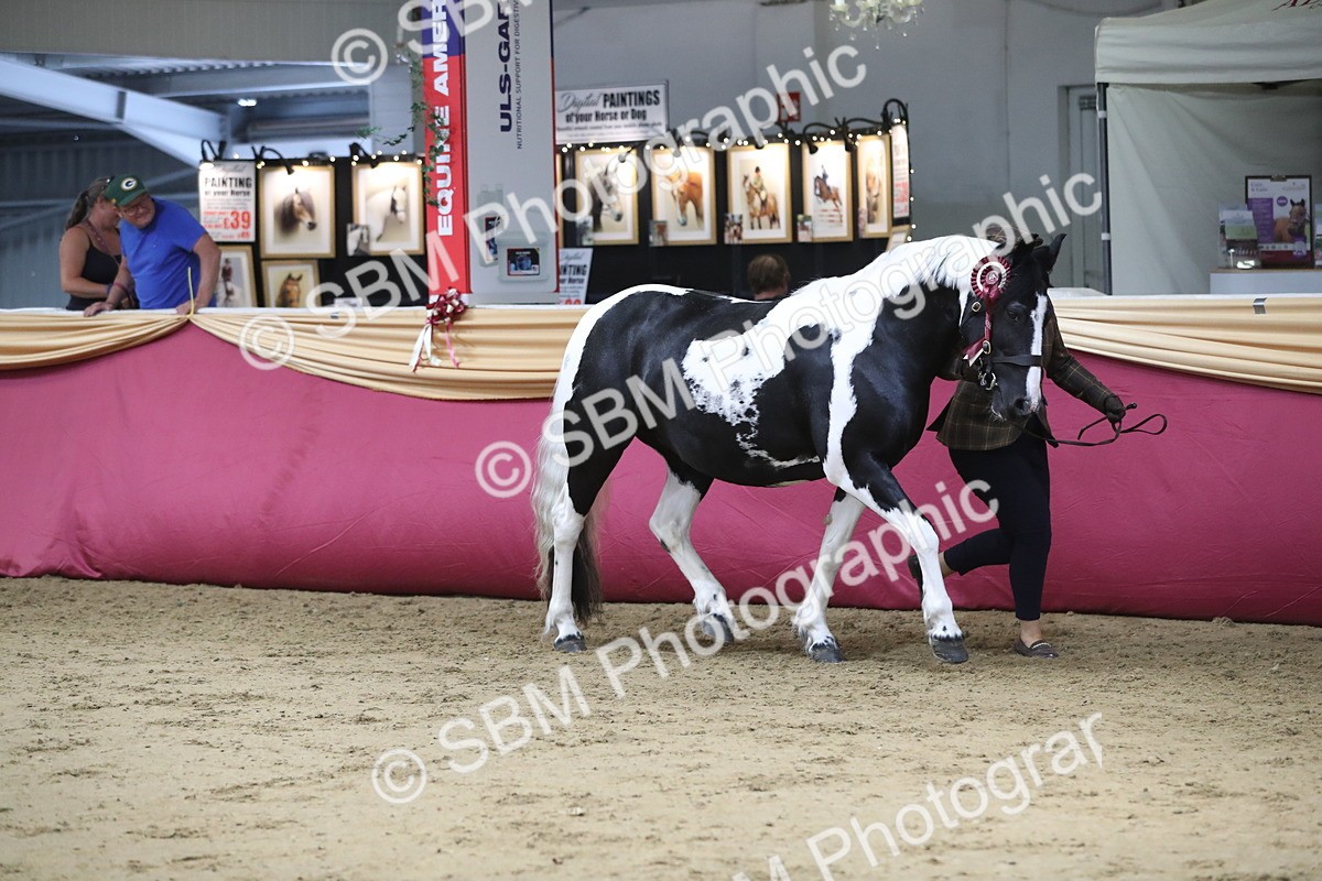SBM_06507 - Class 9R Regional- IH Pre Vet