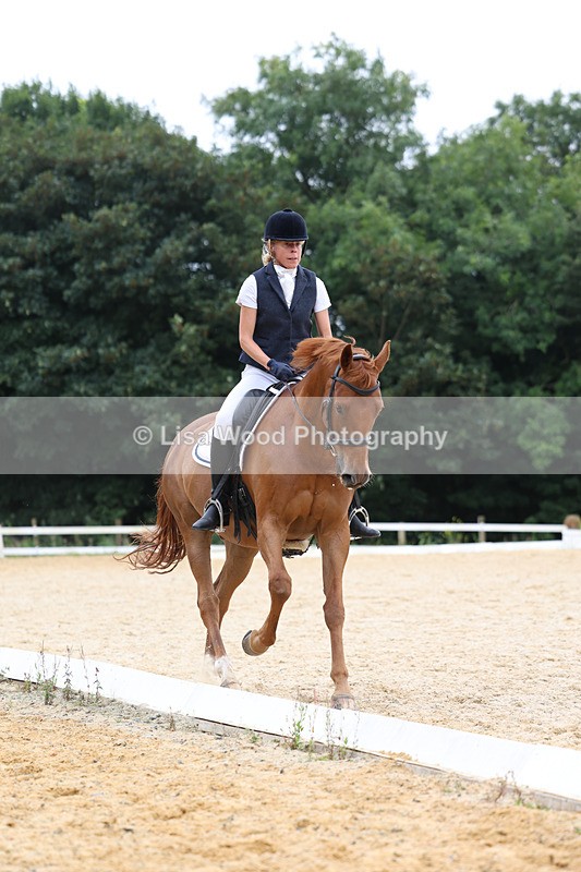 3E7A7233 - Class 9: Elementary 4 2024 - No sections