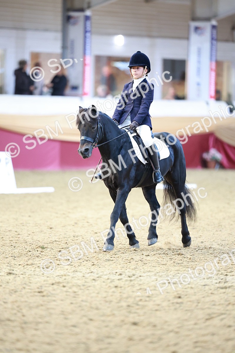 SBM_09194 - Class 61 - Dressage to Music