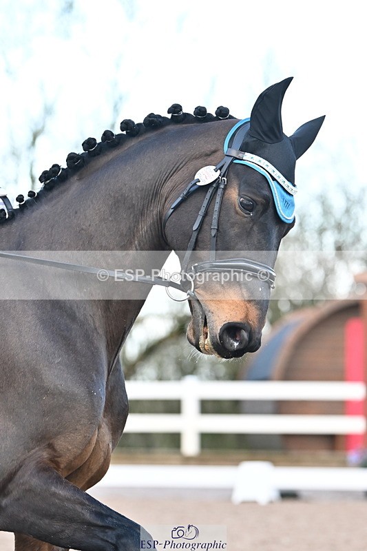 240218A-105810-05760 - 232-Alys.Matravers-VORVASHILL.VERTIGO