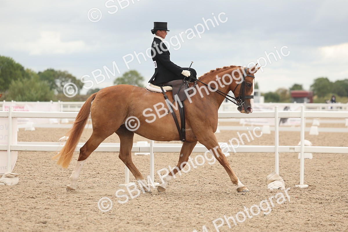 SBM_06405 - Class 23 - SSA - Classical