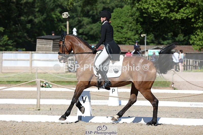 230526-091116-05012 - 352-TEQUILA_SUNRISE-Pippa_Taylor-WEDTrotUp+DR