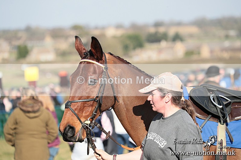 PtP 010325 249 - Beaufort Races Didmarton 01/03/25