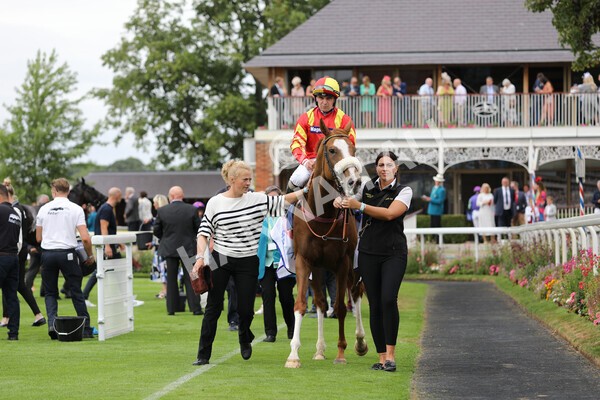 yr23072022r2-47 - Race 2 2.40pm Sky Bet Dash