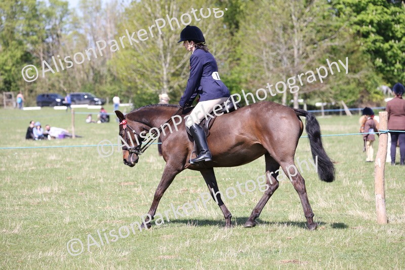 20250427-3202 - Class 33 - Best Pony 14.2hh and Under