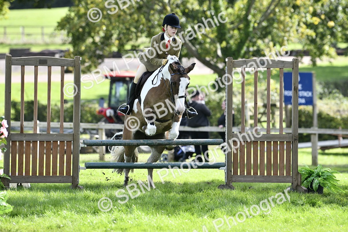 SBM_45682 - S33 - Working Hunter Pony