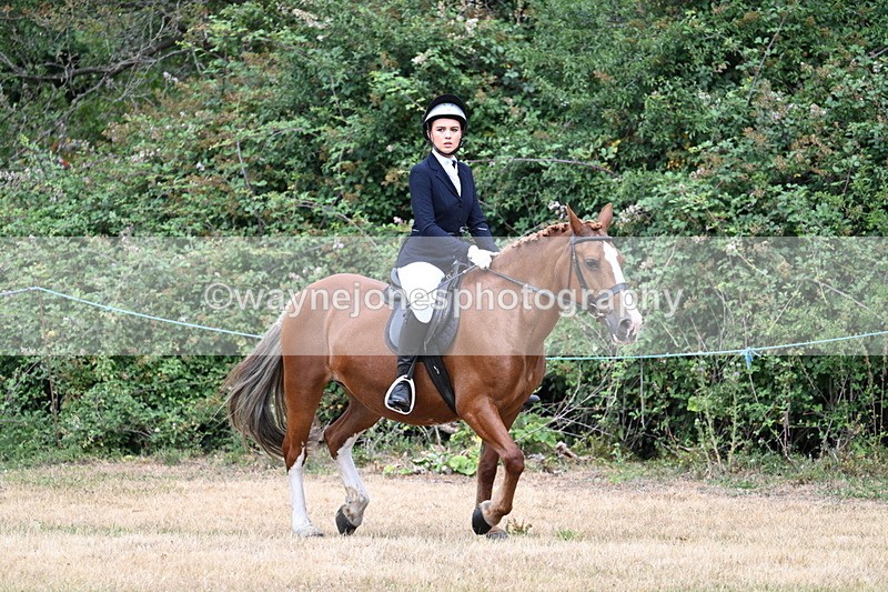 WJ7_0530 - Class 2 Best rider