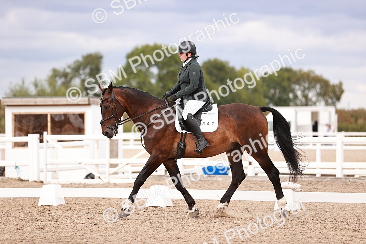 SBM_06354 - Class 37 - Novice 5
