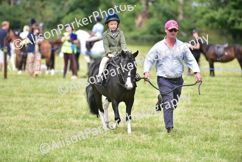 20260614-1382 - Class 11b - Lead Rein Pony (Plaited)