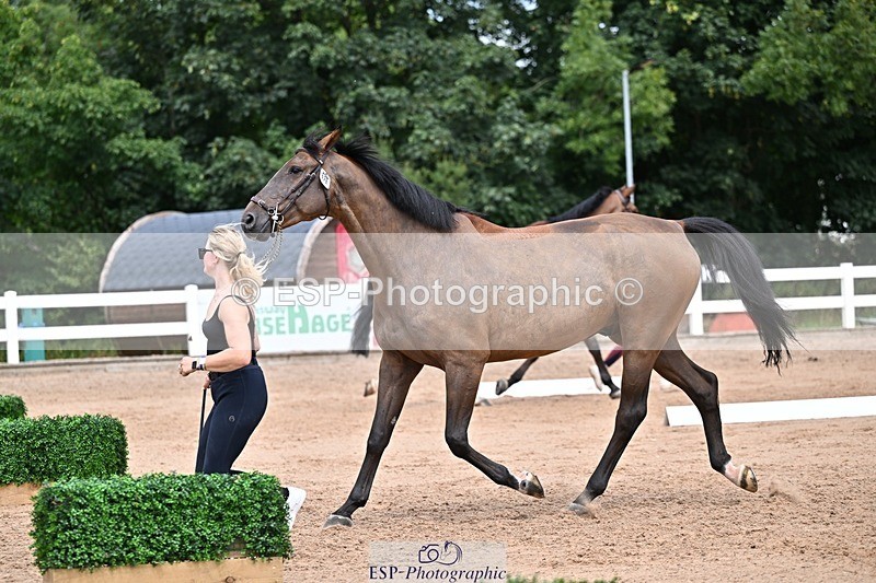 250716-132835-00545 - Trot Up 12.30 to 1.30