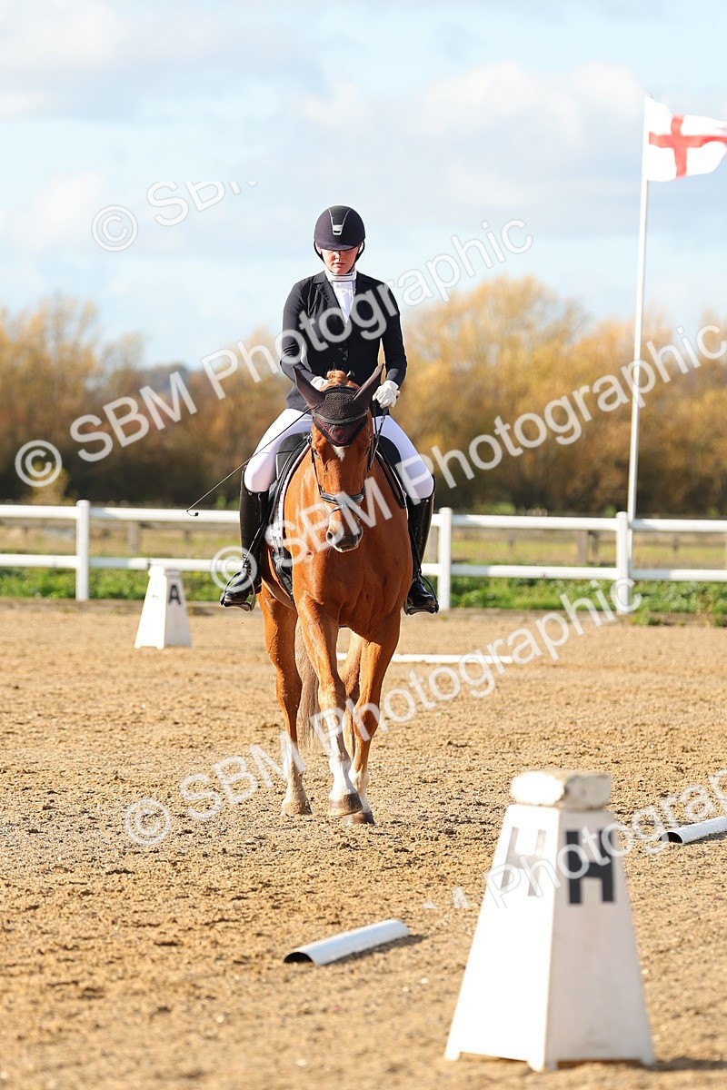 SBM_001169 - Novice 5