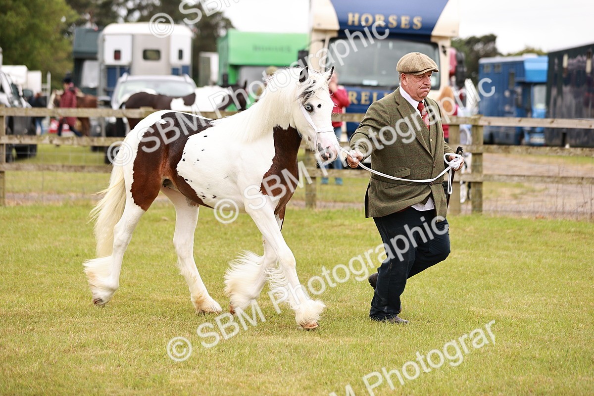 SBM_04558 - Class 5-8 - BSPA In hand
