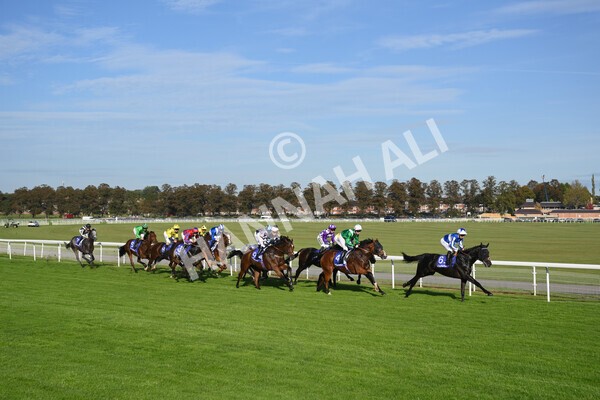 yr08102021r4-22 - Race 4 3.50pm Casumo Dare To be Different Handicap