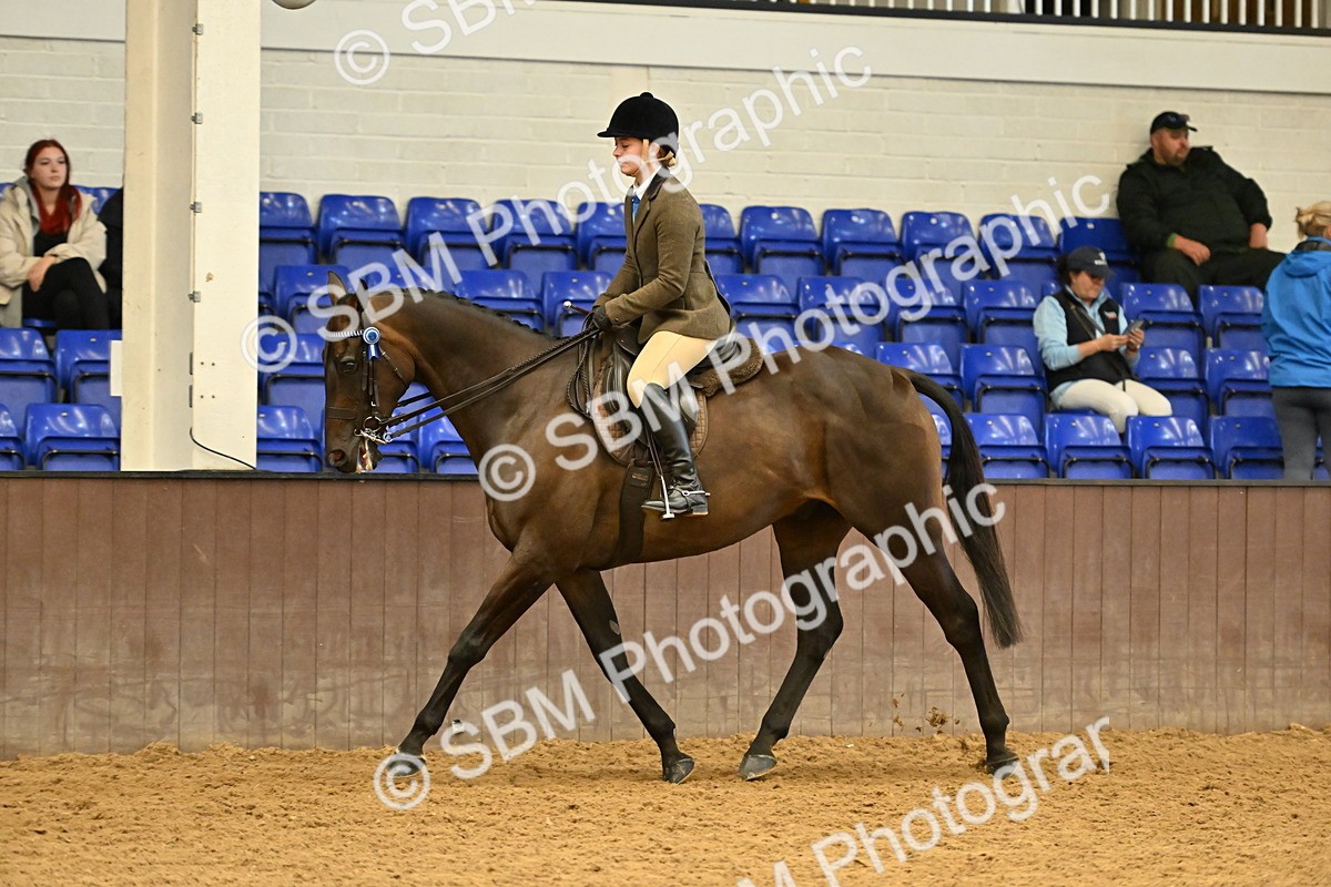 SBM_002004 - Class 24 - BSHA Ridden Racehorse to Show Horse