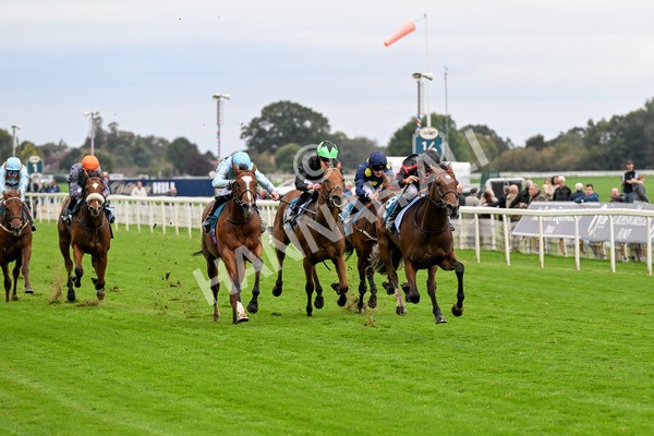 101025-Race 4-Thaluna-0300 - Race 4 William Hill Best Odds Guaranteed EBF Novice Stakes at York