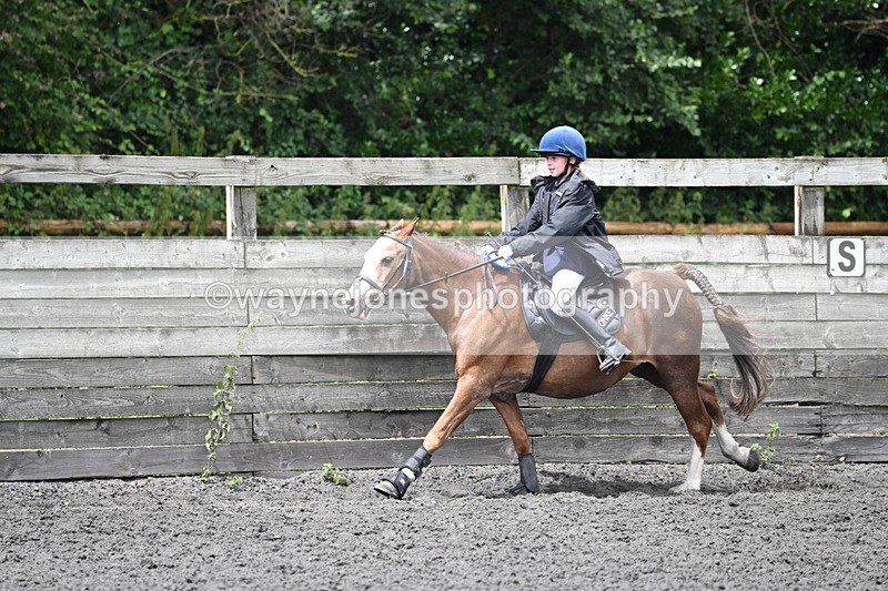 WJ6_0376 - Class 13 Novice 60cm