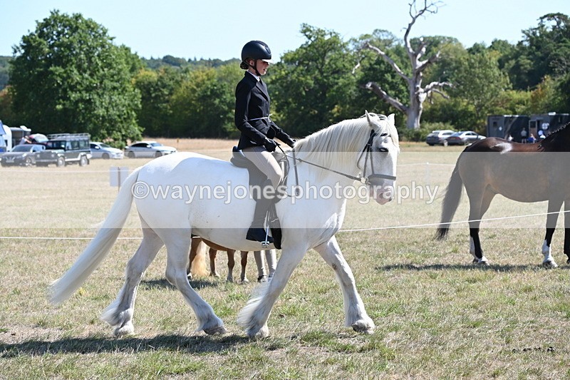 WJ6_8267 - Class 37a Best Loan Pony Ridden