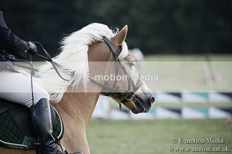 BVR090918 397 - BVRC Dressage and Show Jumping 09/09/18