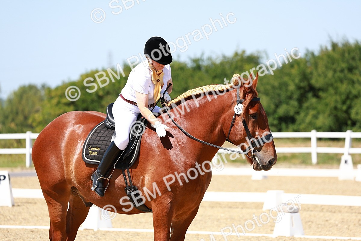 SBM_011821 - Intro 3 - 13.00-14.10