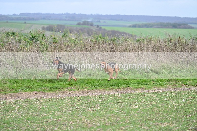 WJ7_2548 - Camera A