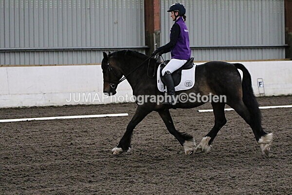 SIAL3793 - CAbin Dressage 5th july 2025