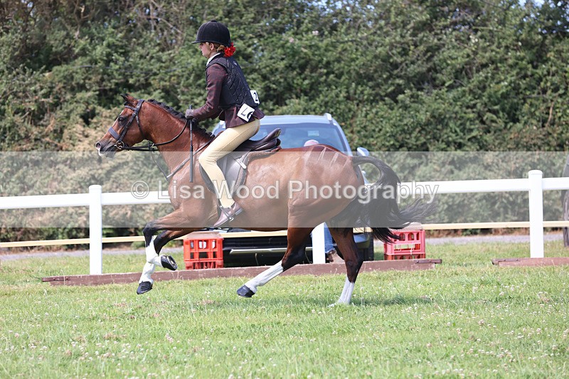 JPP_2654 - Class 21: Working Hunter 60cm