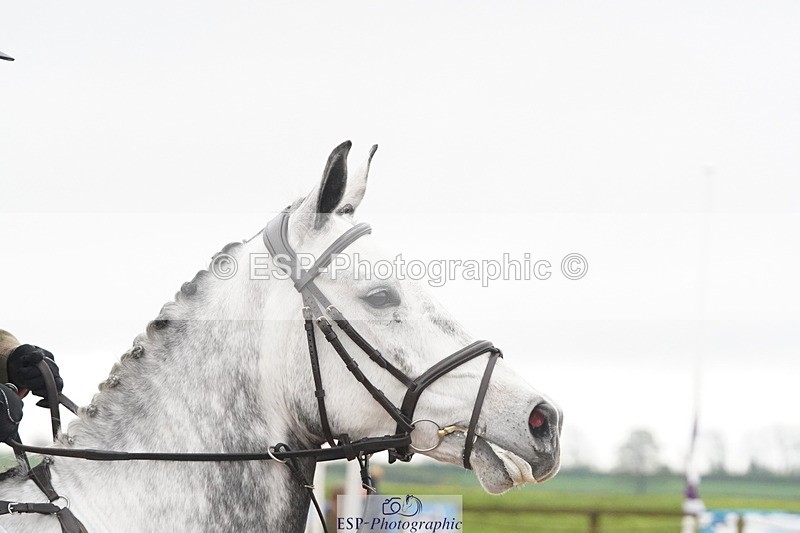 250419-101722-08314 - 565-Charlotte.Rowe-SIXTIES.SCION.OF.CLOONISLE