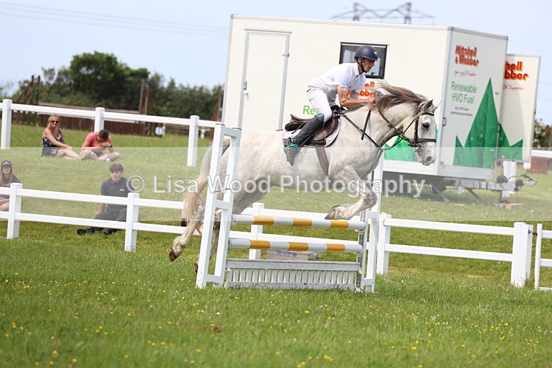 3E7A1650 - Class 13: Senior British Novice/90cm open