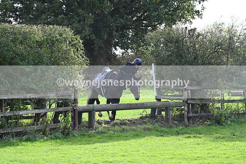 WJ7_0989 - Time 14:27 to 15:11