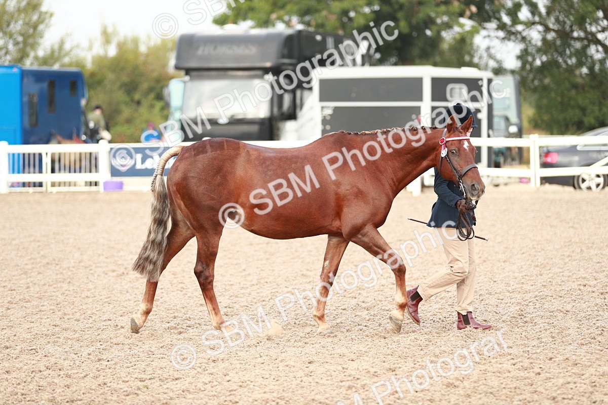 SBM_09496 - Class 201 Best Turned Out IH