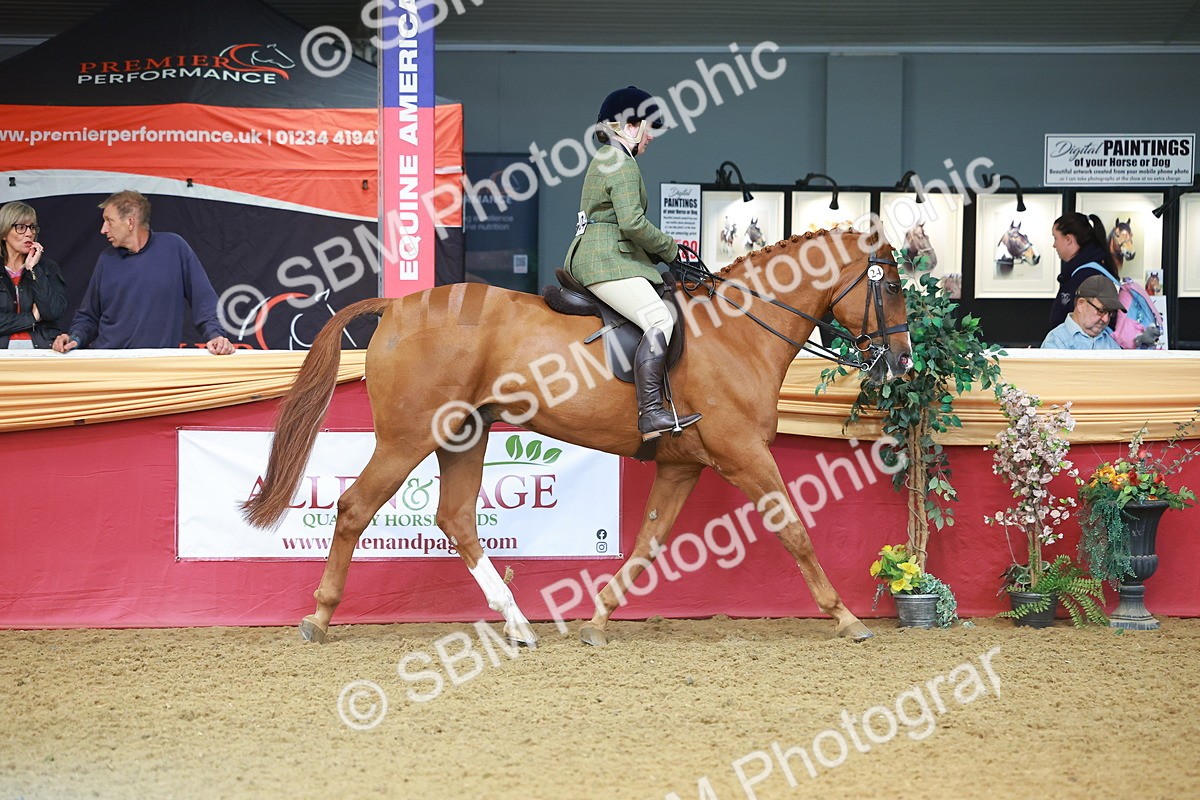 SBM_09602 - Class 102 - HOYS Veteran Qualifier - Ridden Veteran
