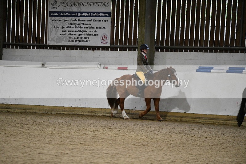 WJ5_8188 - Class 14 Novice Ridden/Rider