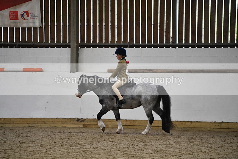 WJ5_6892 - Class 10 Childs Pony