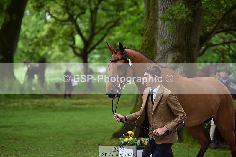 240522-165626-01265 - 282-COOLEY_CORNASUS-Tom_Jackson