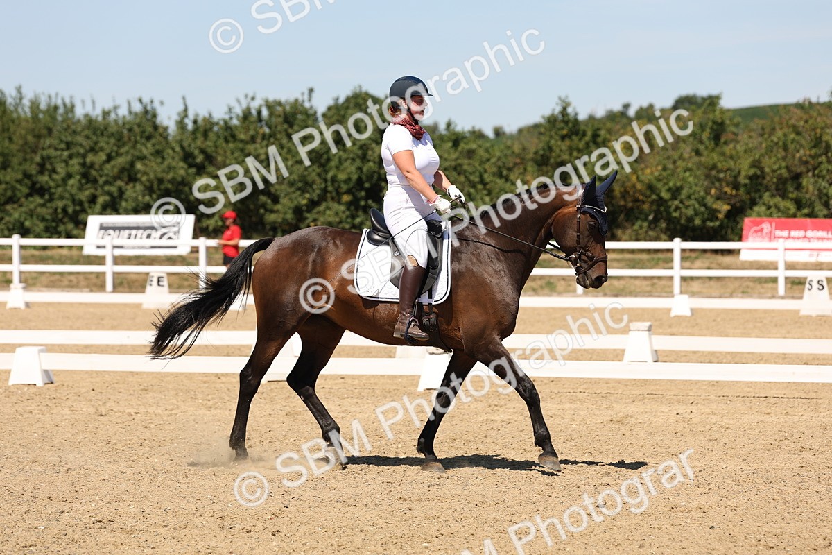 SBM_002769 - Elementary 4